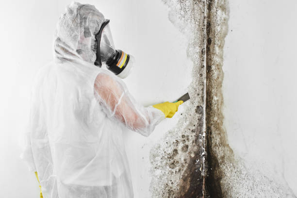 Best Commercial Mold Removal  in Oakbrook, KY