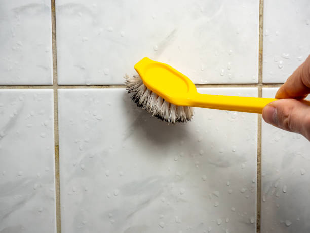 Best Mold Removal Near Me  in Oakbrook, KY
