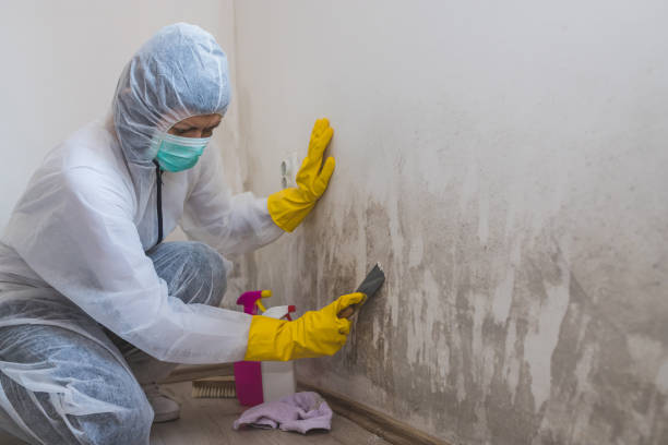 Best Crawl Space Mold Removal  in Oakbrook, KY