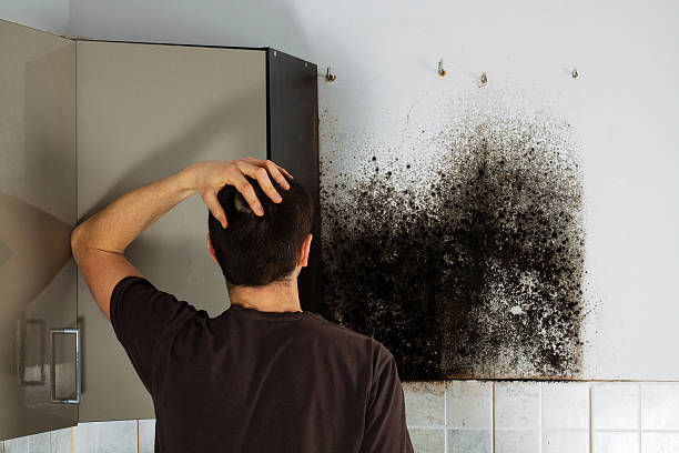 Best Residential Mold Removal  in Oakbrook, KY